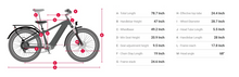 Load image into Gallery viewer, Himiway D5 Pro / D5 ST Pro All-Terrain E-Bike
